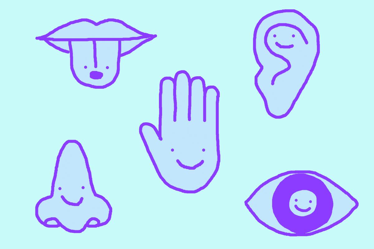 Sur un fond de couleur beige clair, cinq dessins naïfs représente, une main, une oreille, un oeil, un nez et une bouche qui tire la langue.